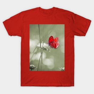 Red butterfly T-Shirt